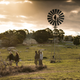 The Leftovers (Photo: Ben King/HBO)